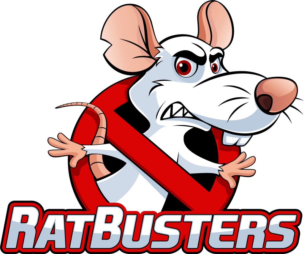 rat busters rat removal