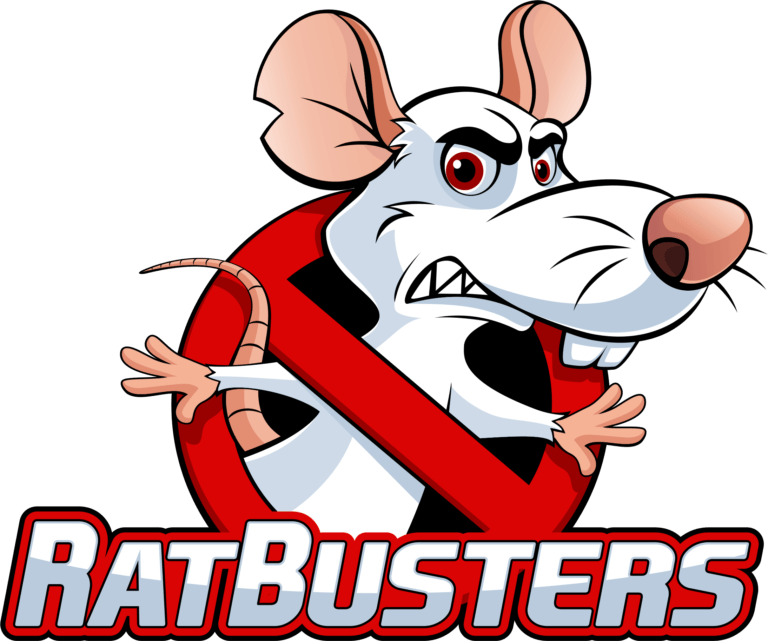 Fruit Rats In Florida – Rat Busters